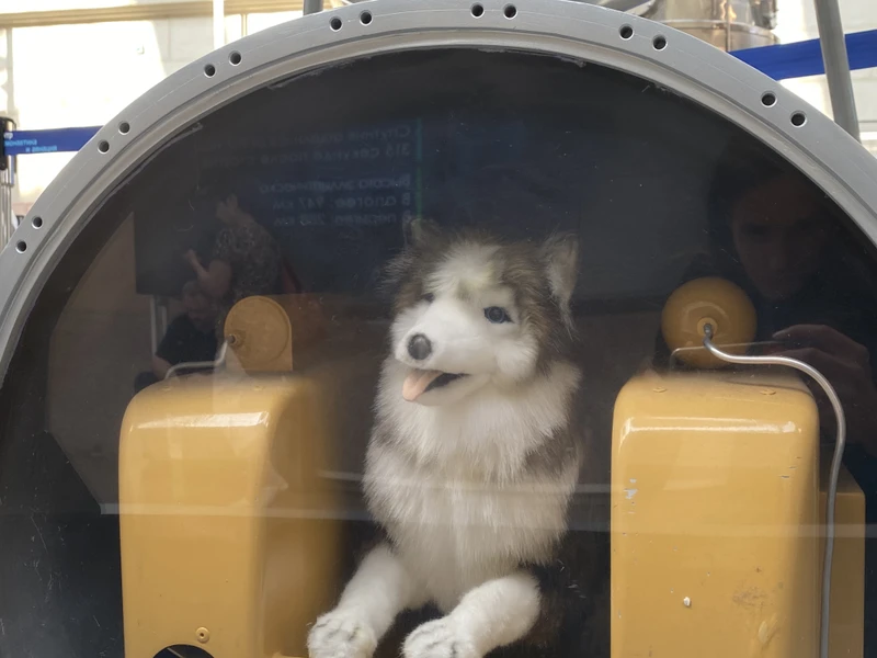 Орбита вдохновения. Космическая экскурсия на ВДНХ