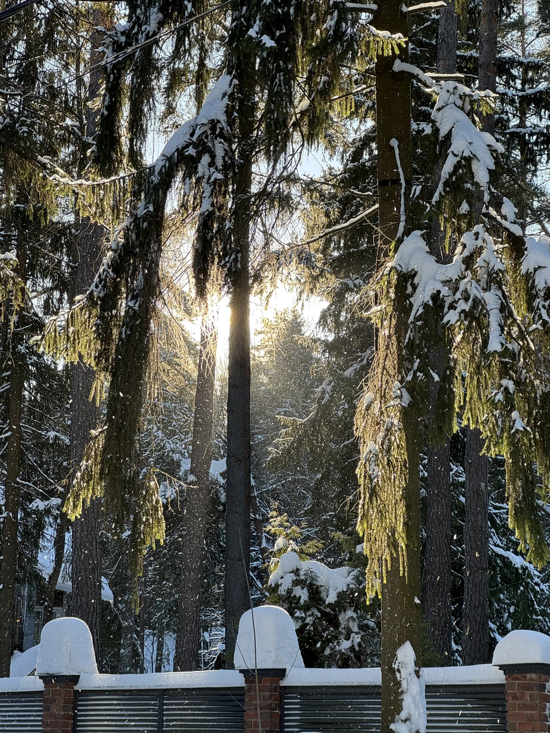 Прогулка была чудесная, очень доступная и интересная подача материала! Сергей замечательный рассказчик! Каждой даче можно посвятить