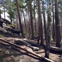 Фото отзыва 2: экскурсия "Душевная прогулка к скалам Чертова городища"