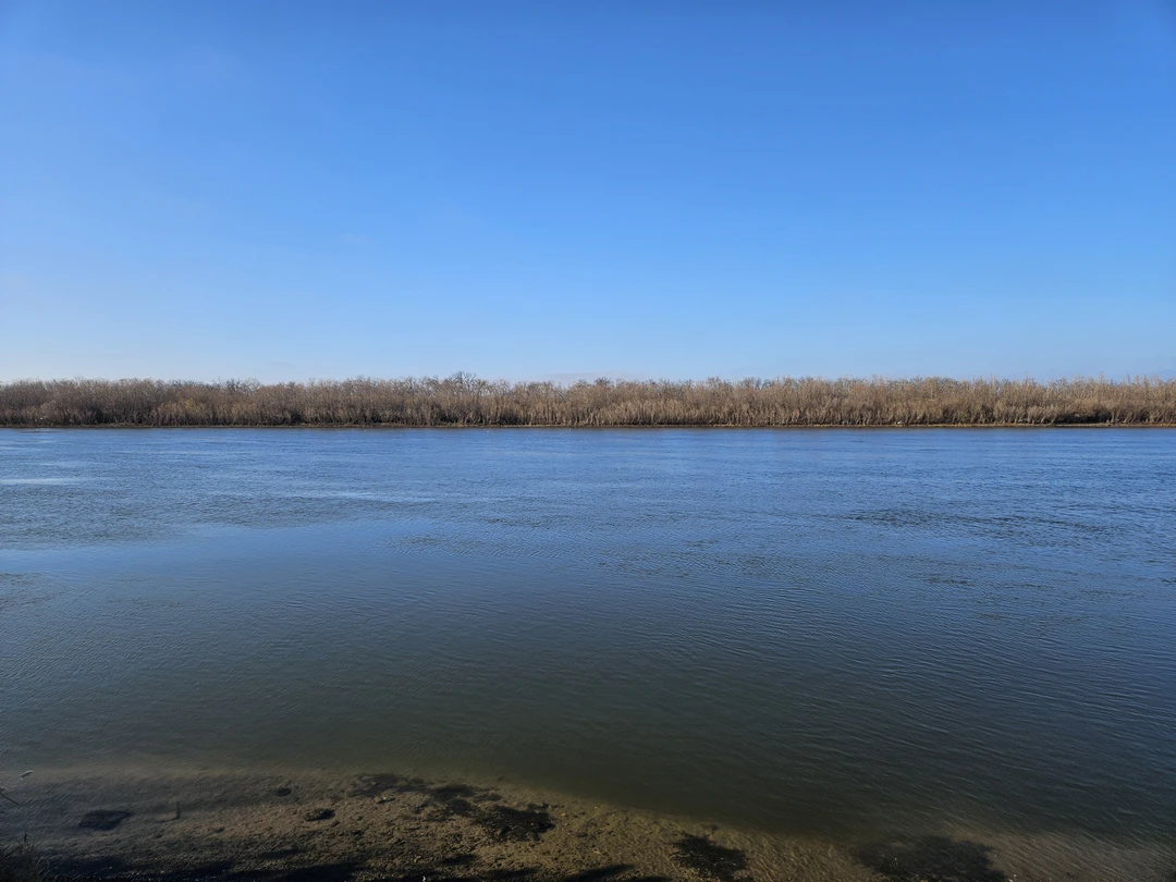 Были с сыном (8 лет) одним днём, вот его отзыв:"Очень хорошая экскурсия. Осетриная ферма очень крутая