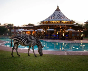 Фото отзыва 4: авторский тур "Большое приключение в ЮАР и Зимбабве: сафари, полёт на вертолёте, водопад Виктория и релакс у океана"