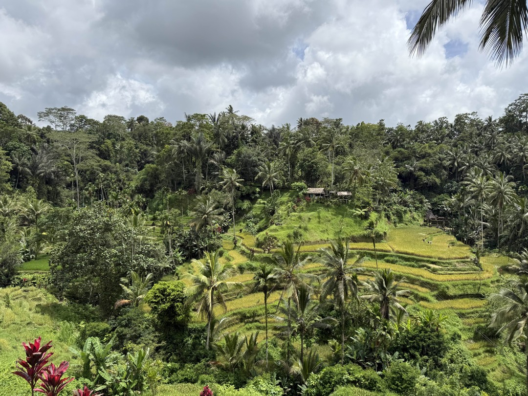 Отличная поездка и интересные, яркие и колоритные места!