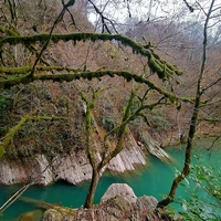 Фото отзыва 2: экскурсия "Фантастические растения Сочи и где они обитают"