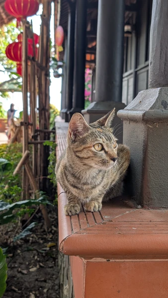 Нячанг - жемчужина Вьетнама (Алина)