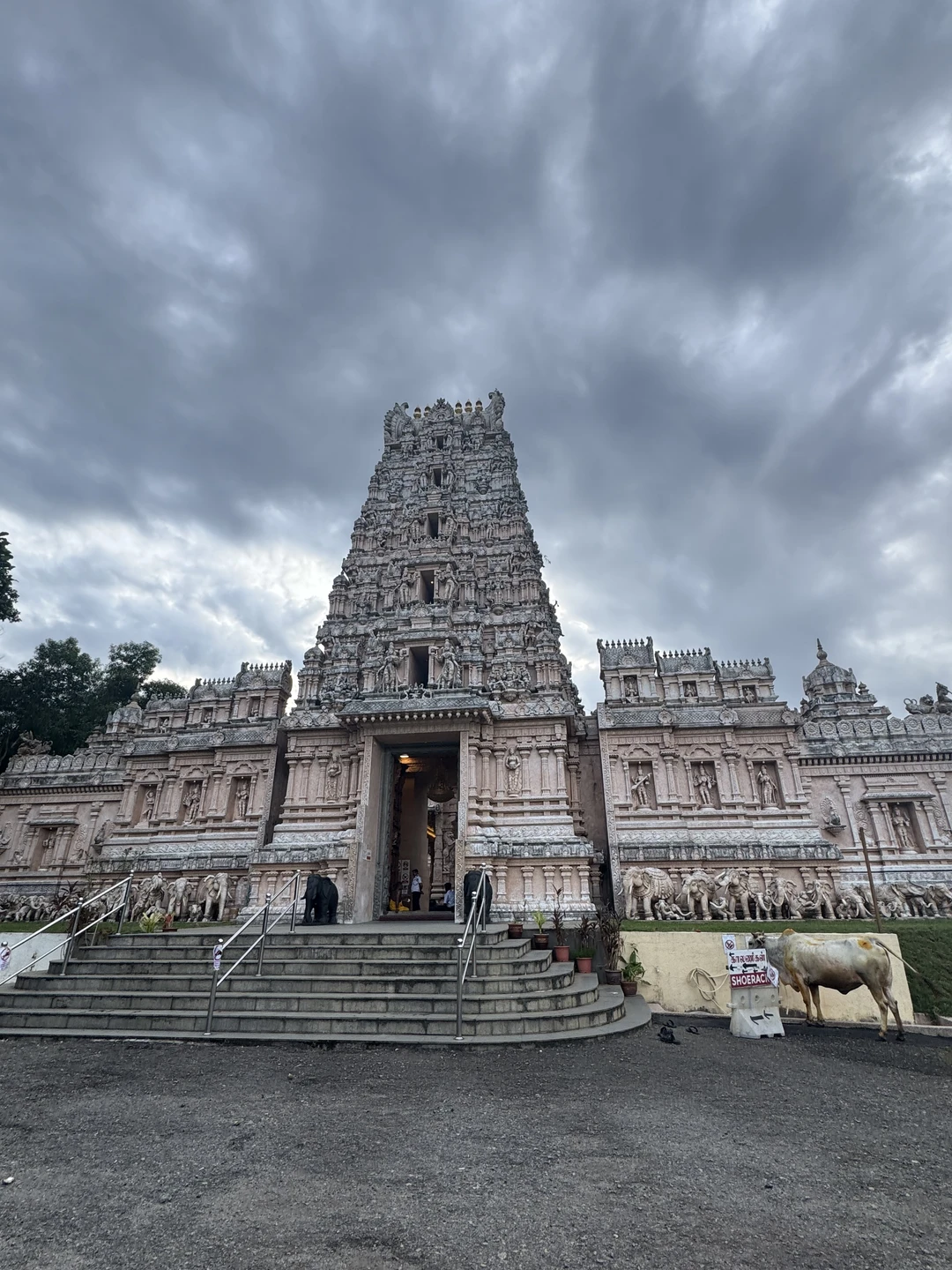 Организатор Юлия - спасибо ей большое, ответила на все вопросы заранее! Помогла с оплатой в удобной мне валюте