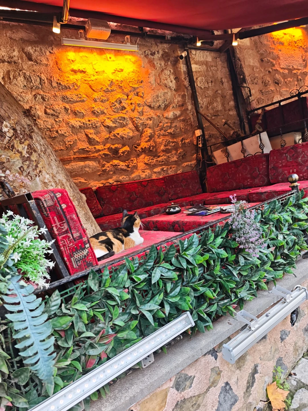 В 3-й раз приезжаю в Стамбул и хотель посмотреть по-новому на этот великолепный город. 3-часовой пеший тур с Джевхером превзошел все мои ожидания!