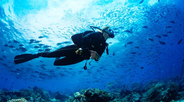 Полное погружение: лучшие места для дайвинга