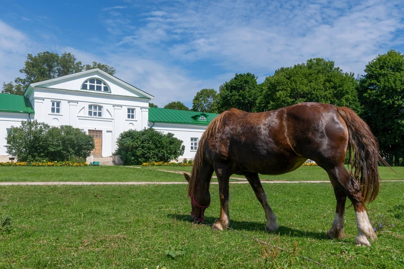 По стопам Льва Толстого: из Тулы в Ясную Поляну