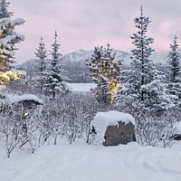 Фото отзыва 6: экскурсия "Путешествие в Чемал: открыть природу Горного Алтая"