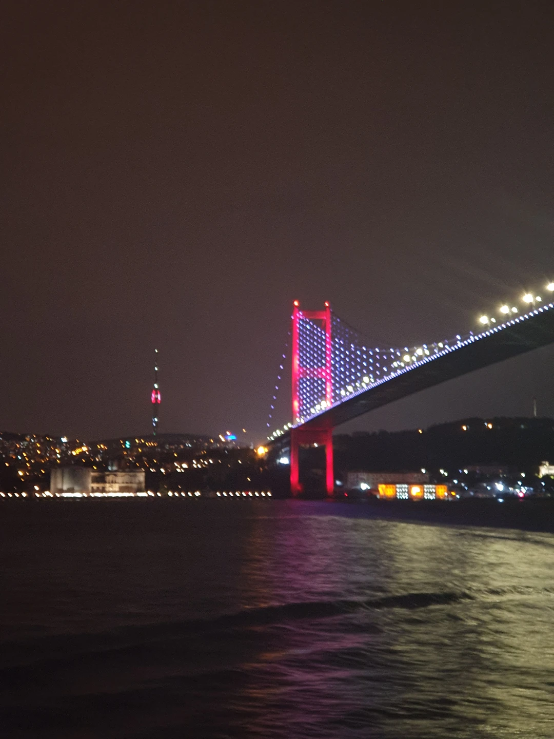 По вечернему Босфору на круизном лайнере (Татьяна)