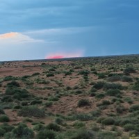 Фото отзыва 1: экскурсия "Путешествие в Астраханскую пустыню"