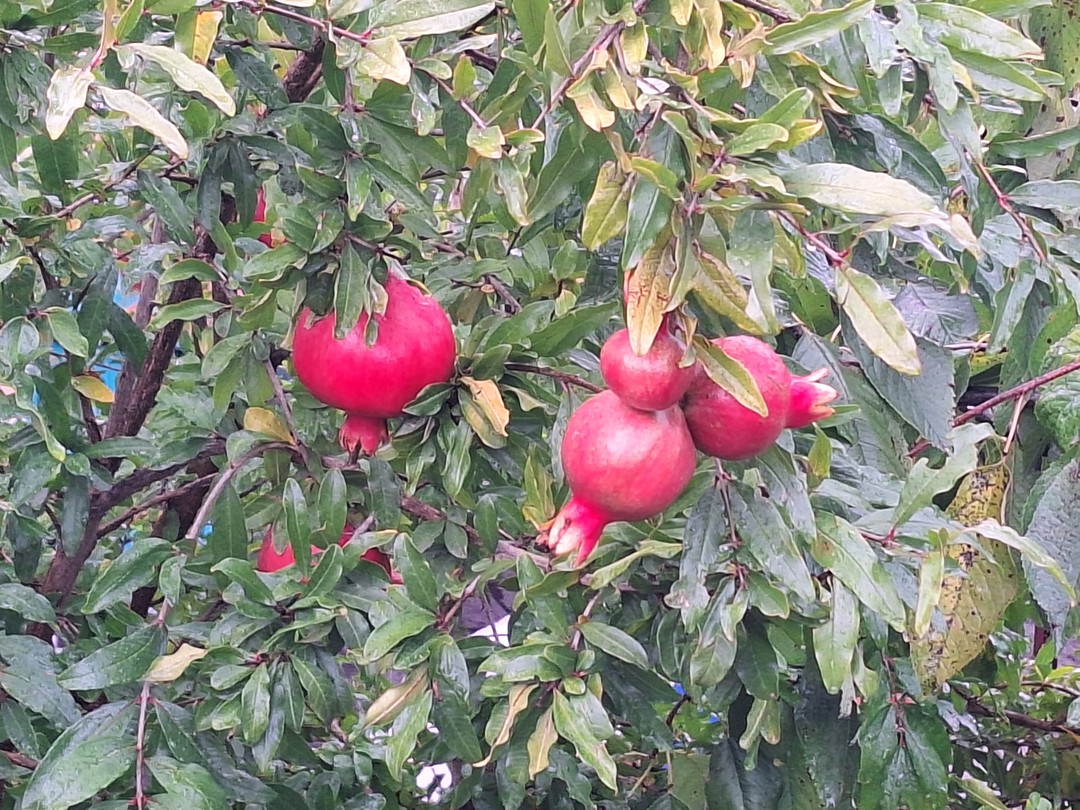 Анапа: топ-места за 5 часов (Татьяна)