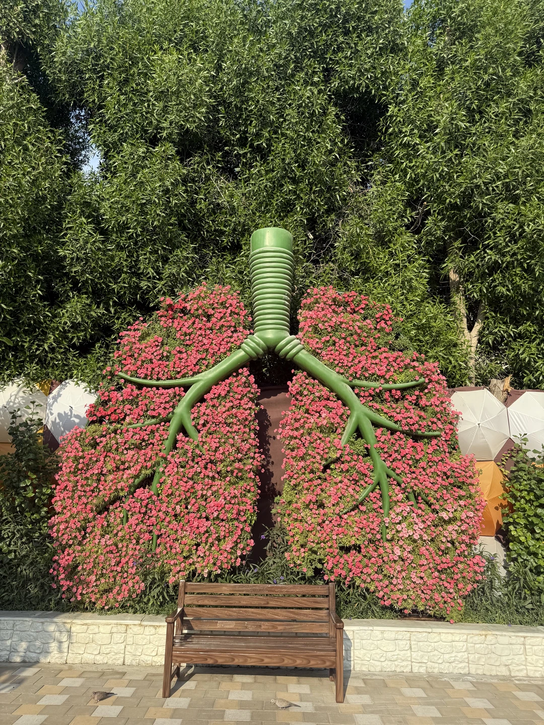 Нам оооочень понравилось! Отличный водитель, машина новая, комфортная! Вай фай в машине есть, ехал спокойно, ребенок