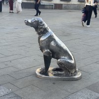 Фото отзыва 1: экскурсия "Весь Воронеж — в одном маршруте"