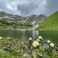 Фото отзыва 2: экскурсия "Альпийские луга и озеро Мзы"
