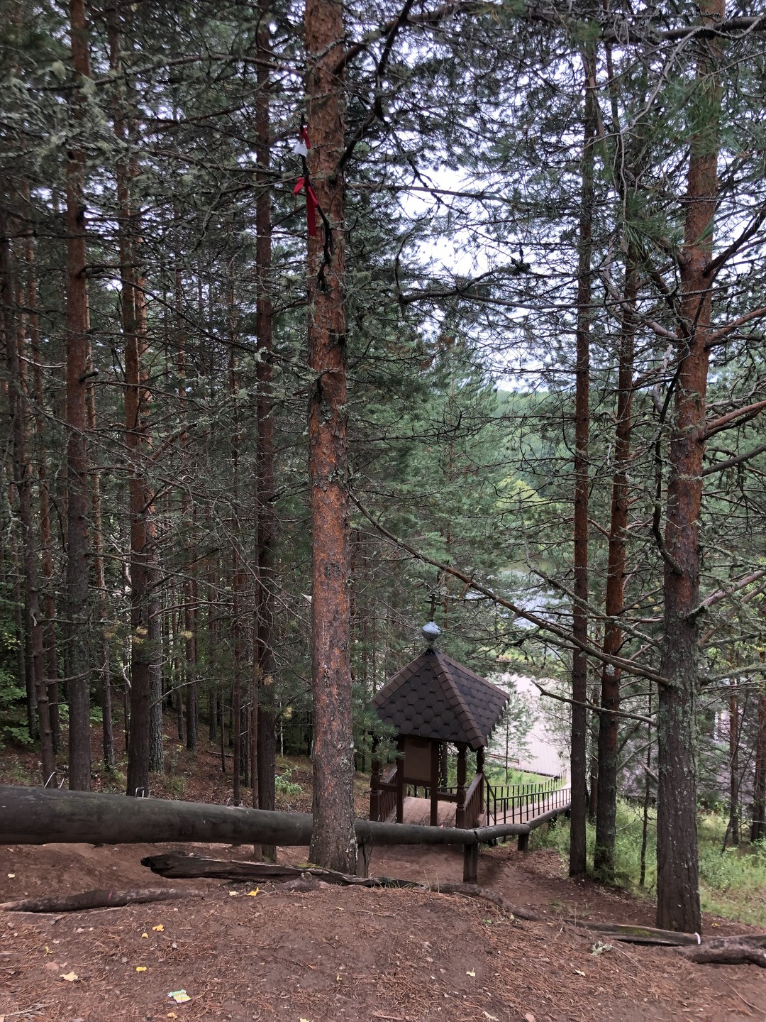 Благодарна Евгению за то, что он организовал поездку по такому востребованному маршруту. Мы побывали в храмах