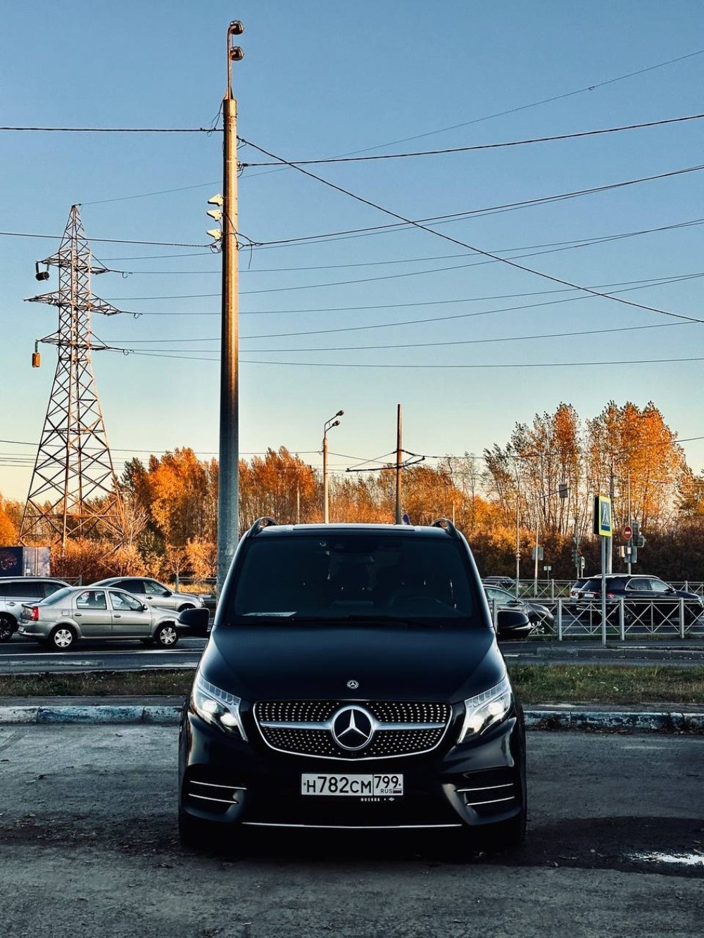 Трансфер из аэропорта Москвы на Mercedes-Benz V-класса (6/11)