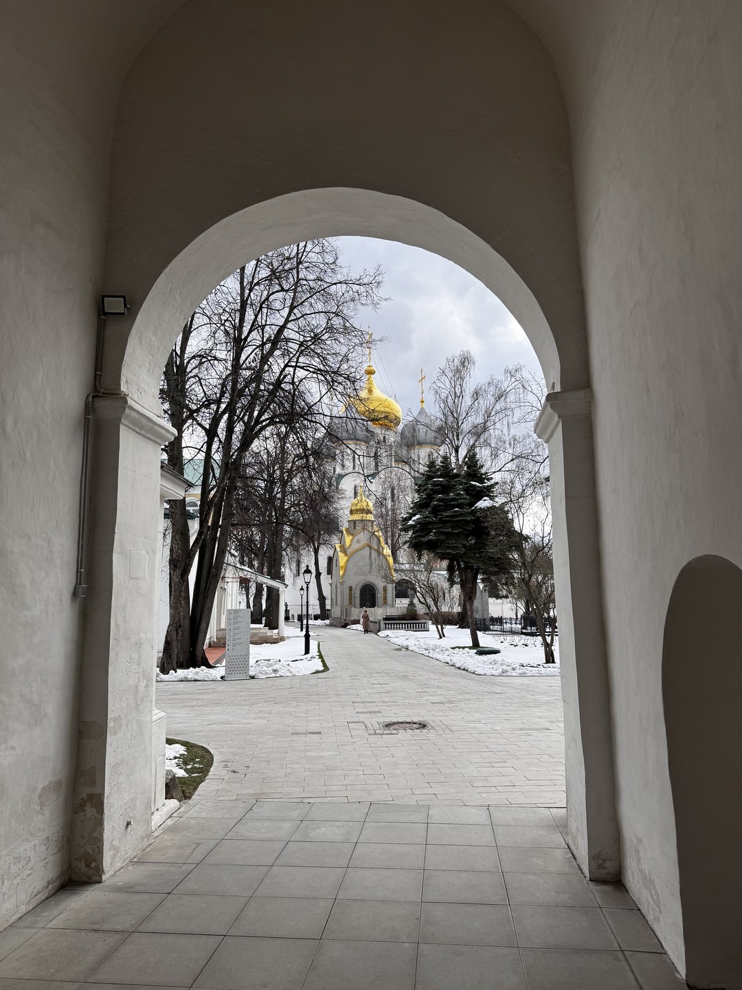 Женские истории Новодевичьего монастыря (Лилия)