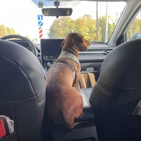 reviews img