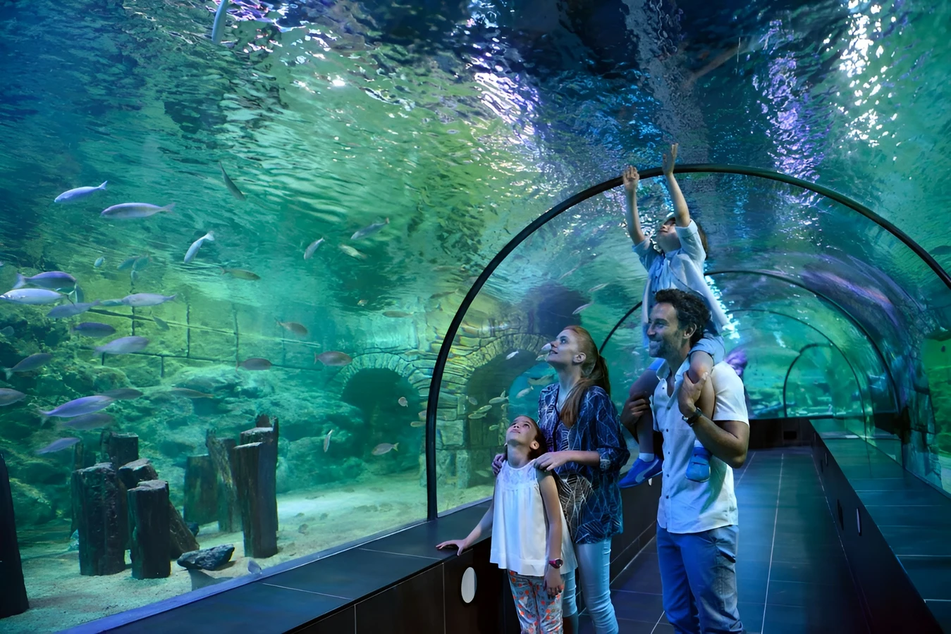 В гости к акулам и скатам: поездка в Istanbul Aquarium (трансфер и билеты включены)