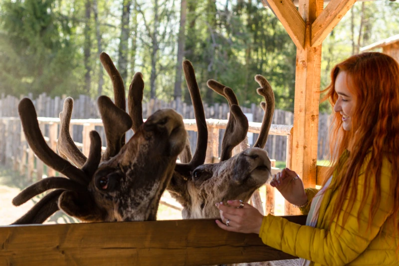 В карельский экопарк «Долина водопадов» - из Петербурга