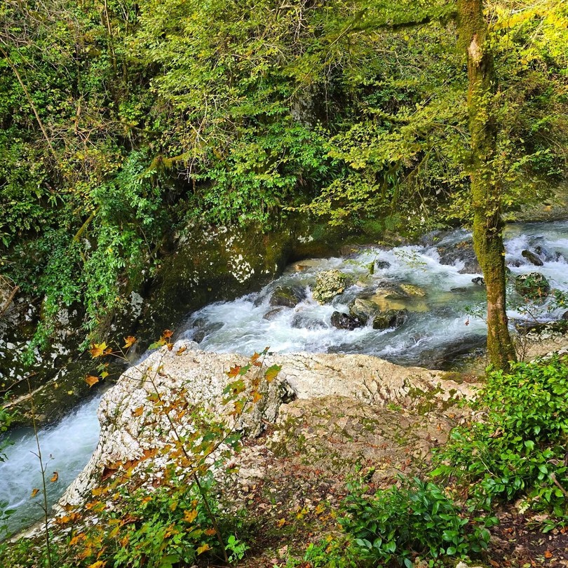 Поездка на джипе из Нового Афона - к озеру Рица и Гегскому водопаду (Владимир)