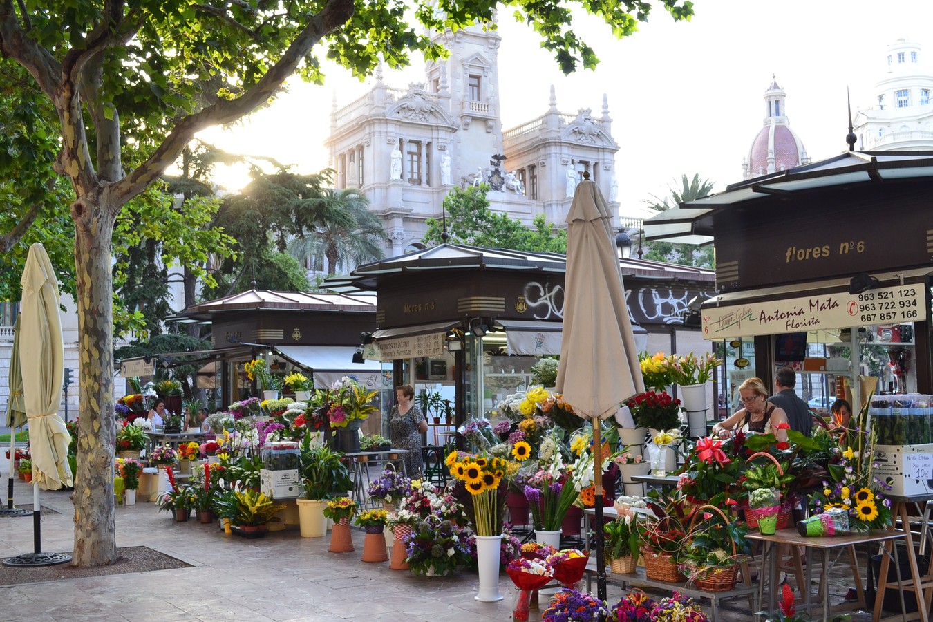 Вся Валенсия на автомобиле