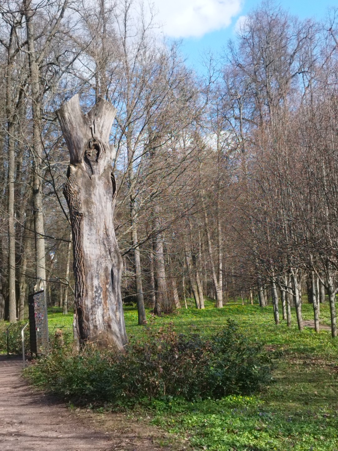 Заинтересовалась этой экскурсией, как только она попалась мне на глаза - и не только потому, что