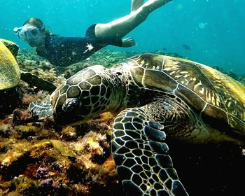 Фото отзыва 1: авторский тур "Индивидуальный джип-тур по Оману с водными активностями, каньонингом и виа феррата"