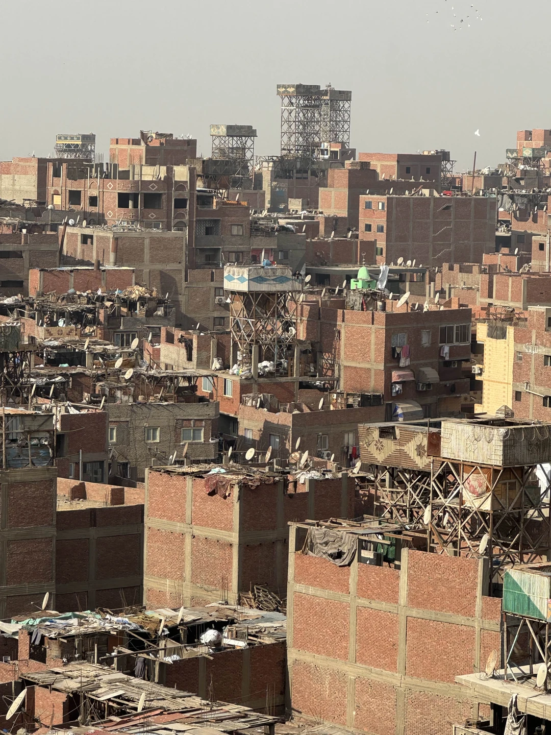 Ездили на 2 экскурсии с этими организаторами. Оба раза очень удачно. Гиды с отличным русским языком, все четко организовано. Спасибо!