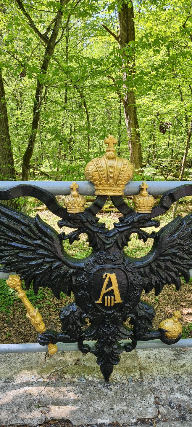 Беловежская пуща по выходным и праздникам (Александра)