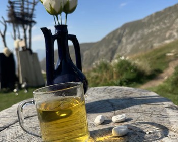 Чохские террасы, Гамсутль, Салтинский водопад и национальная кухня
