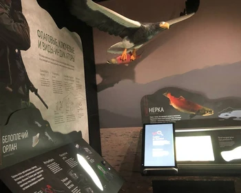 Визит-центр Кроноцкого биосферного заповедника, экскурсия по Петропавловску-Камчатскому, крабы на обед и купание в бассейнах