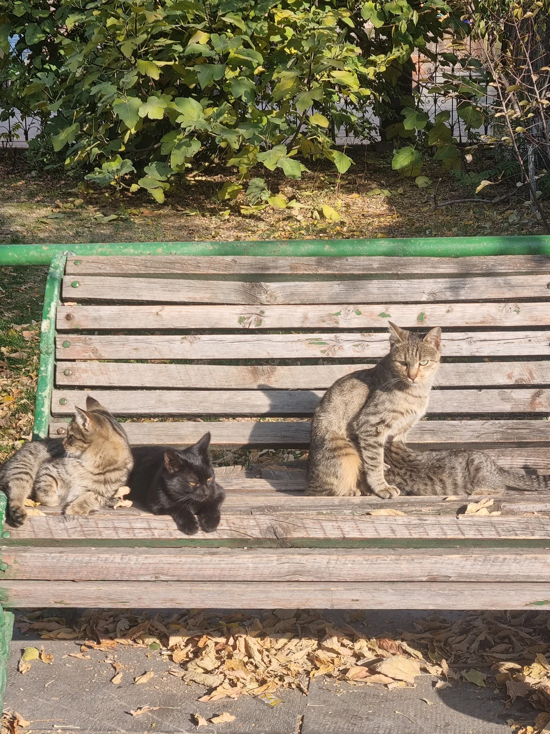 Это была увлекательная прогулка в сопровождении человека, любящего свой город и знающего его историю. Спасибо, Арам!