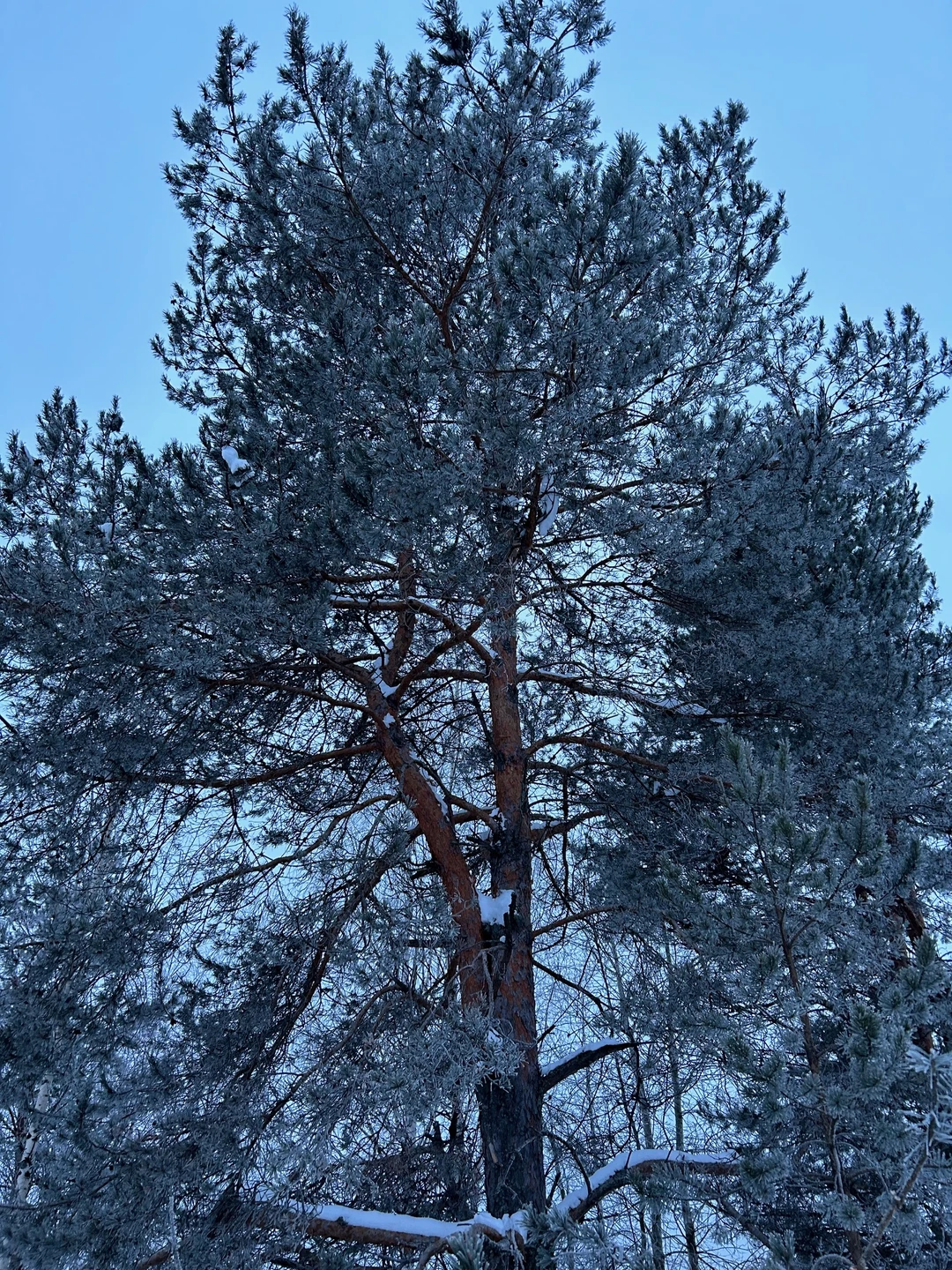 В гости к старообрядцам: обед из печи и мастер-класс у ткачихи (на вашем авто) (Юлия)