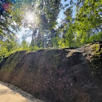 Фото отзыва 1: экскурсия "Утро в Монрепо"
