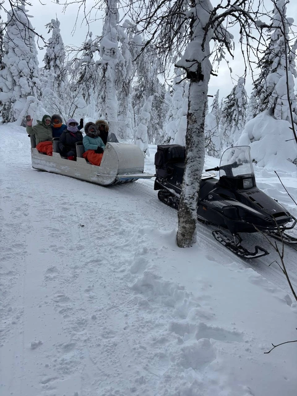 Сказать, что понравилось, — значит ничего не сказать. Я в восторге!