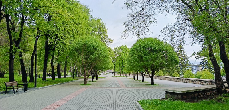 Кто растёт на Михайловской набережной