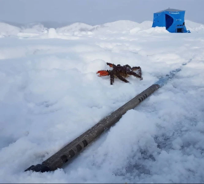 Сахалинская крабалка — клешни, море и приключения - Фото 5