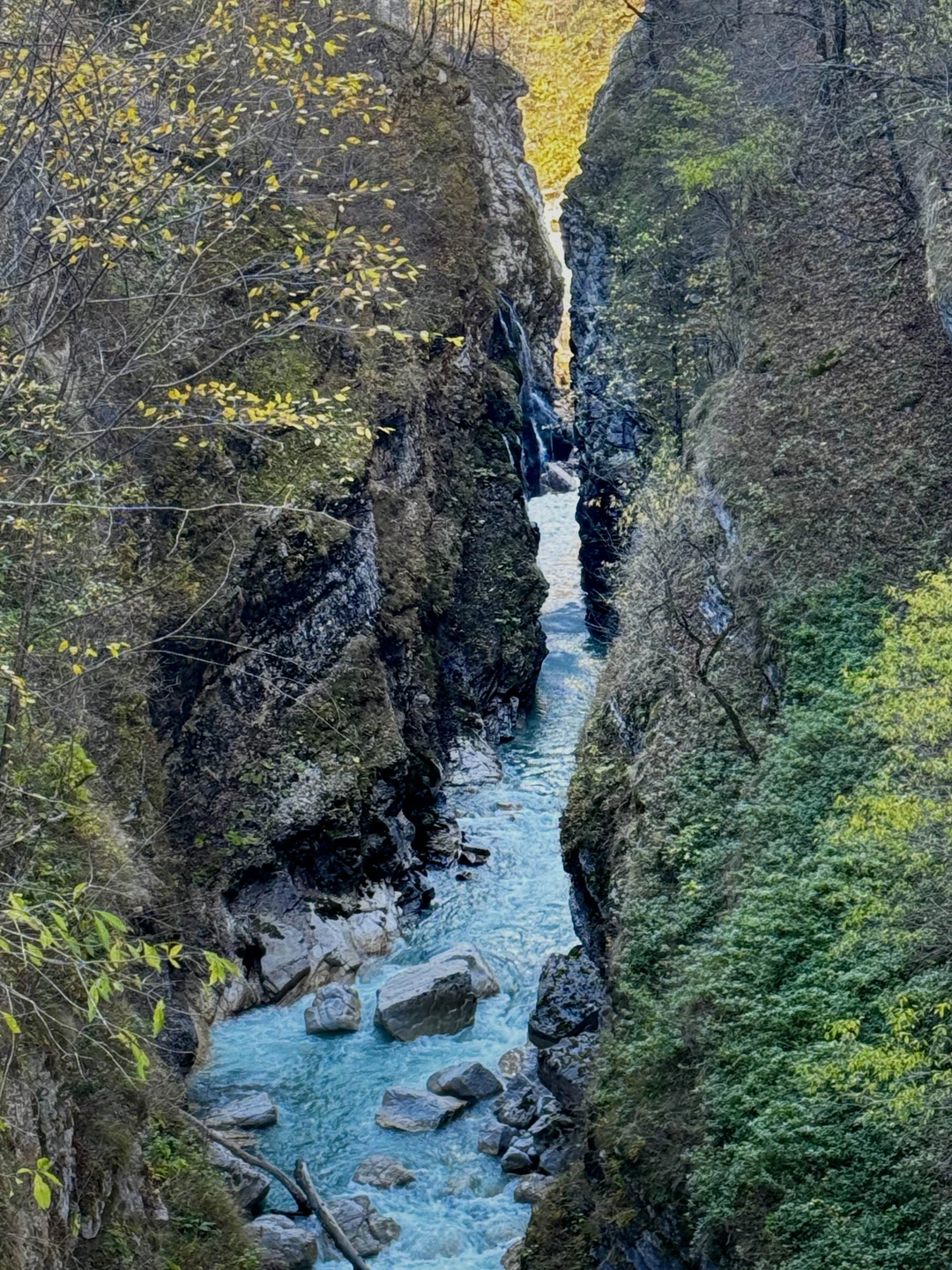 Дигория-это восторг❤️
