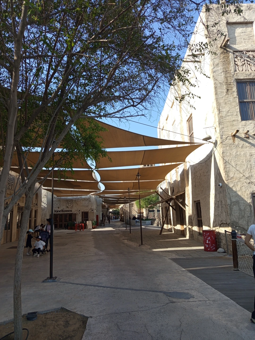 Отличная экскурсия, рекомендую для первого знакомства с Дубаем. Организация на высшем уровне