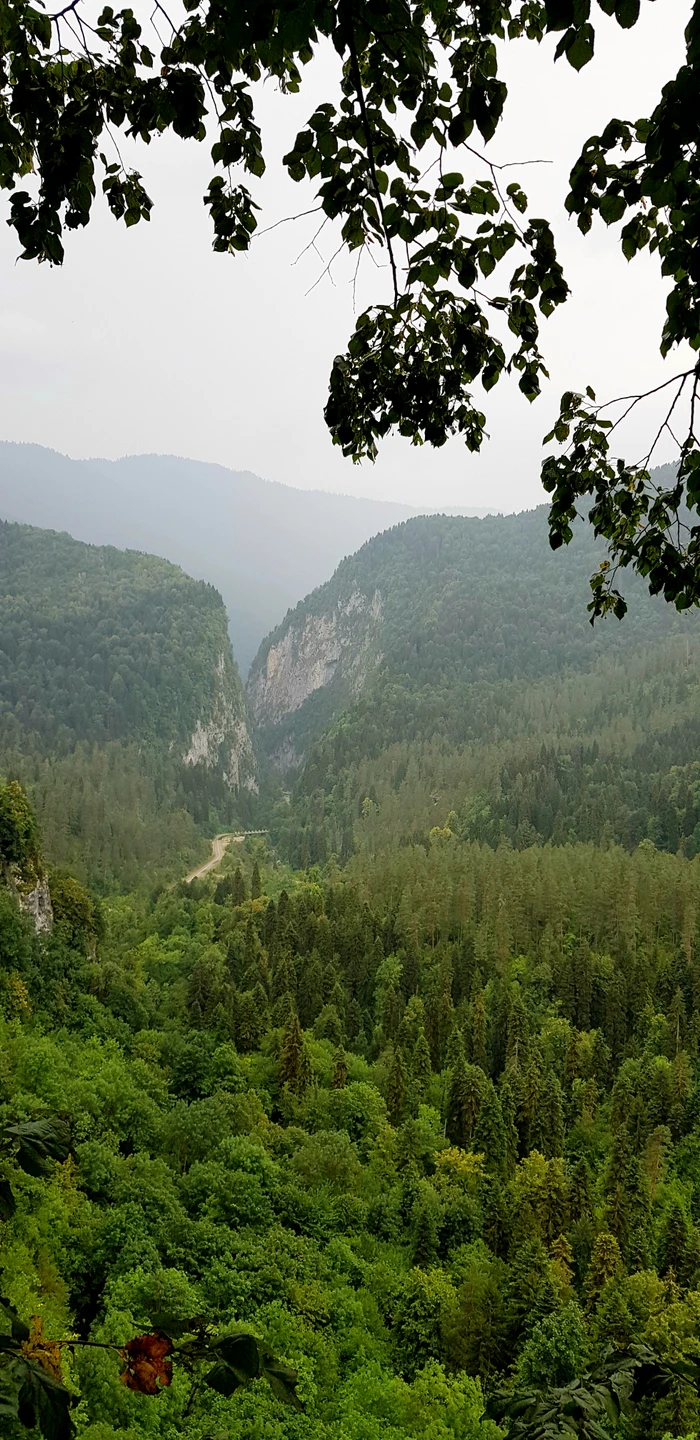 Первозданные виды Абхазии (Екатерина)