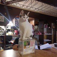 reviews img
