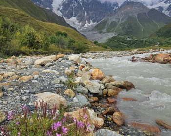 Путешествие в мир Средневековья