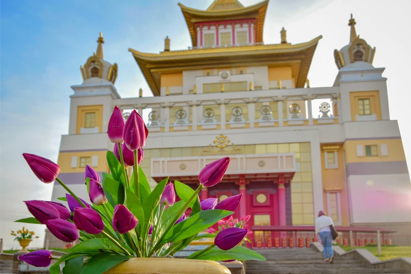Калмыкия в цвету: буддийские святыни, кочевые народы и ковёр из тюльпанов