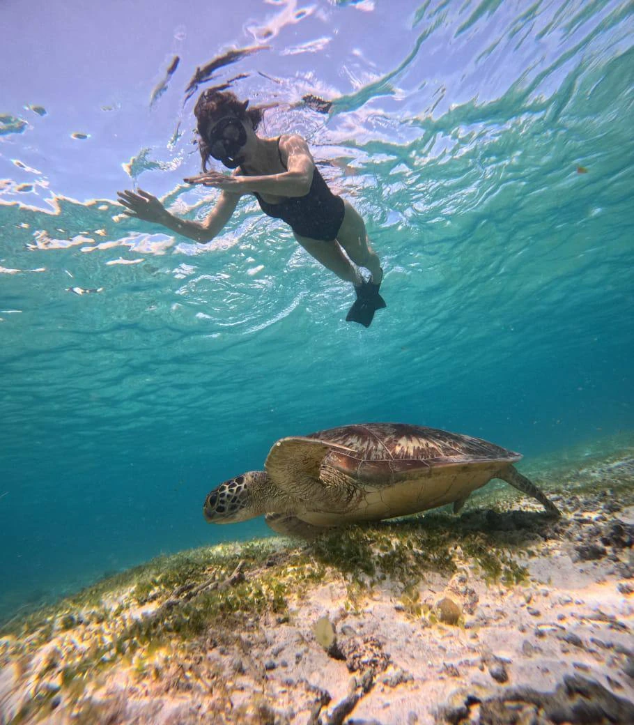 Большое спасибо за подаренные искренние, настоящие эмоции - я словно снова вернулась в детство. Подводный мир