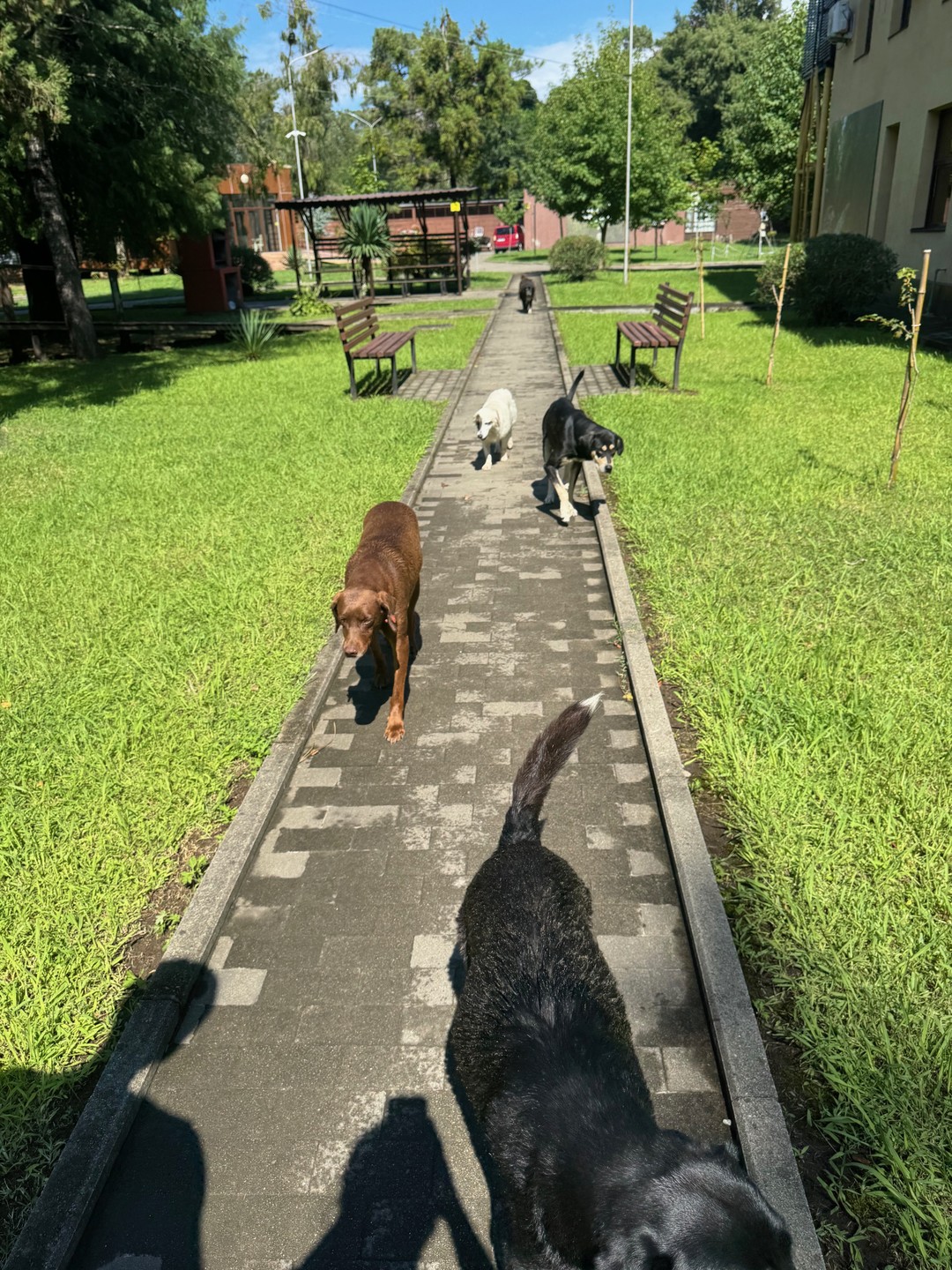 Для тех кто любит активный отдых, особенно водные и вело-прогулки. Все прошло отлично, увлекательно и в