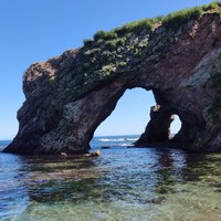 Фото отзыва 4: экскурсия "Мыс Великан и мыс Птичий: путешествие в мини-группе"