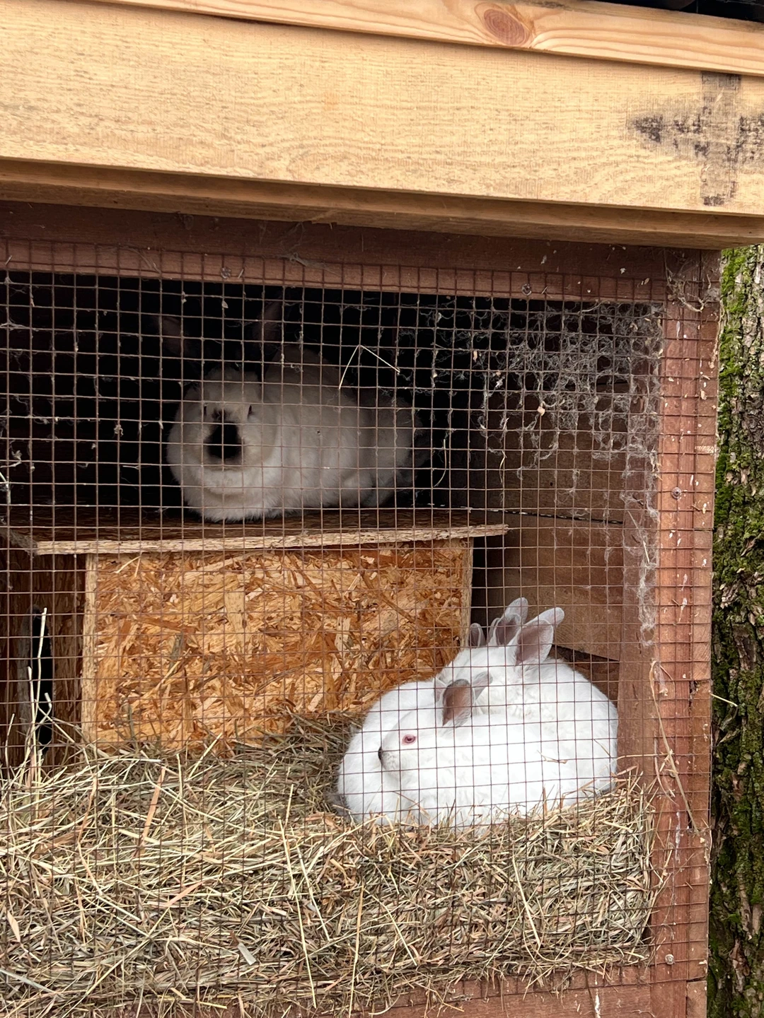 Все очень понравилось. Экскурсовод интересно рассказывала, все дружелюбные. Порекомендую друзьям