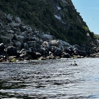 Фото отзыва 3: экскурсия "По Японскому морю на моторной лодке!"